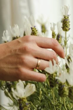 Honey Bee Meuse Band -Gldn Shop 2022 gldn10910 Edit