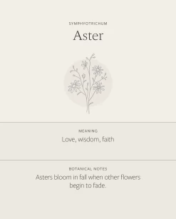 Aster Necklace 12 Aster Necklace -Gldn Shop Aster