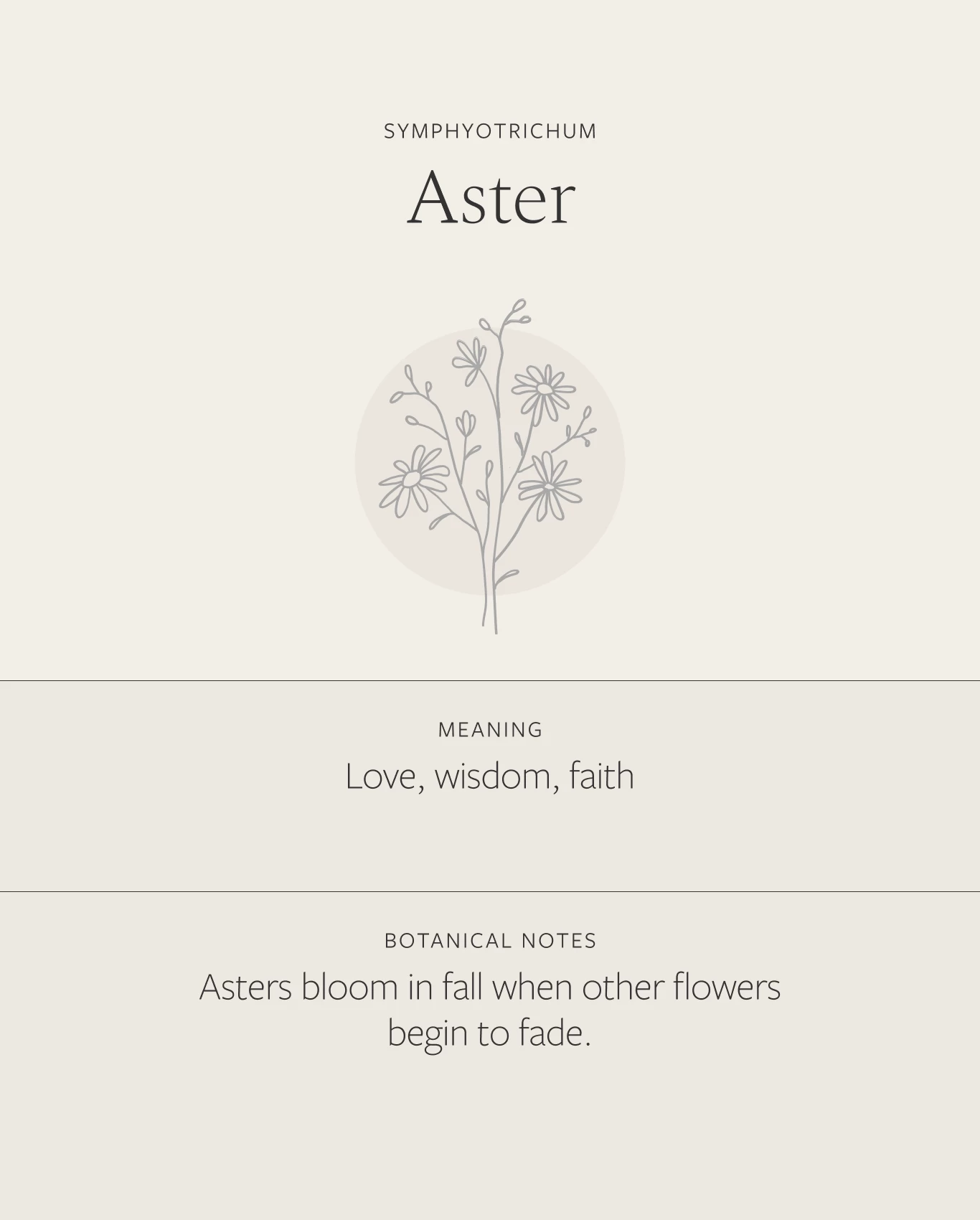 Aster Necklace 6 Aster Necklace - Image 4