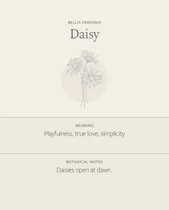 Daisy Necklace 10 Daisy Necklace -Gldn Shop Daisy 24a1063c 4cf8 4978 a80d 6113e1f94ffa