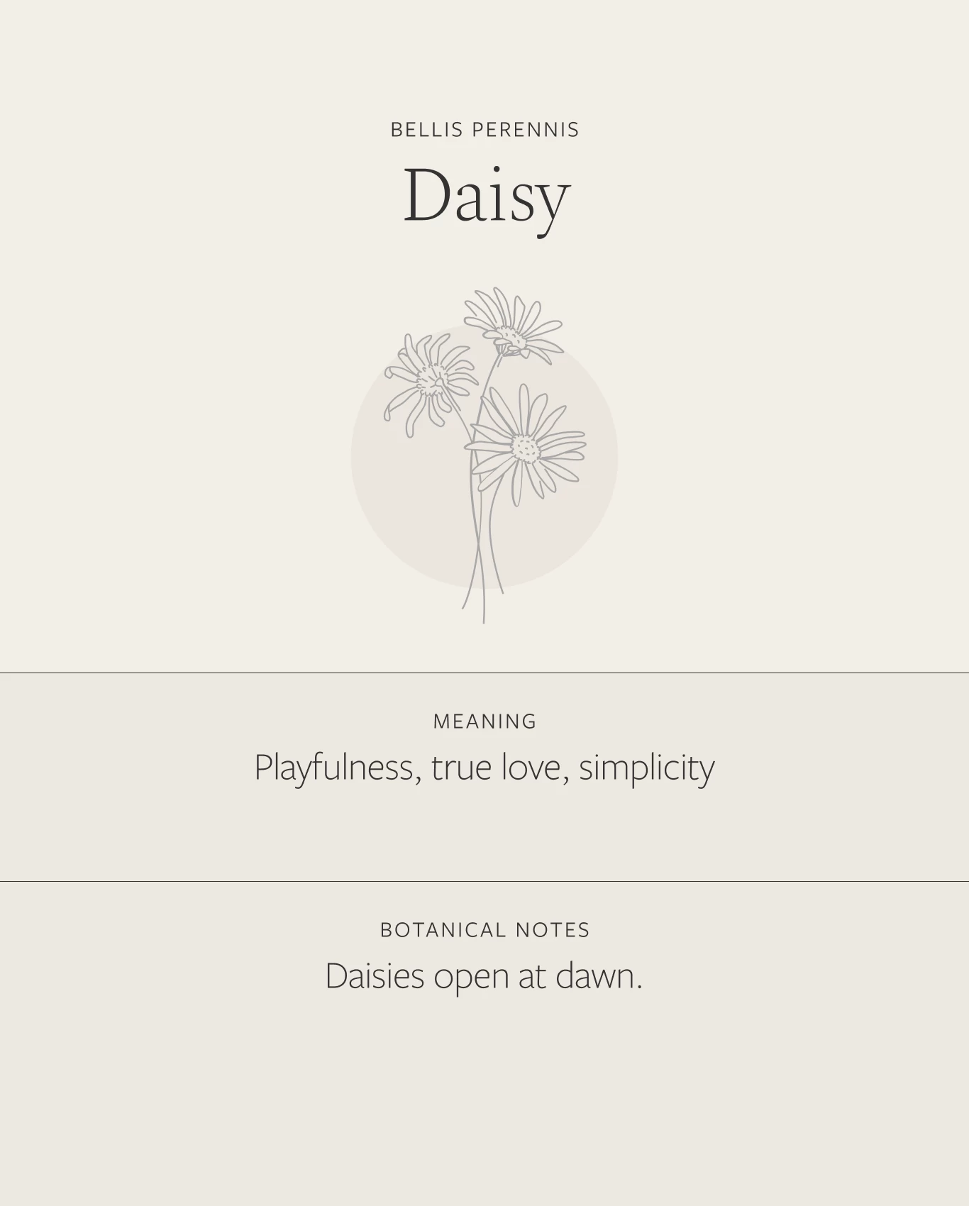 Daisy Necklace 6 Daisy Necklace - Image 4