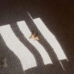 Initial Studs -Gldn Shop PersonalizedInitialStudEarrings 7