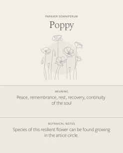 Poppy Necklace -Gldn Shop Poppy