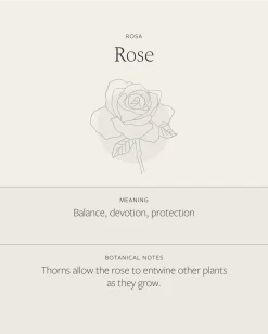 Rose Necklace -Gldn Shop Rose f4c3267d b733 4b2a beb2 2825ab1b0e18