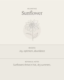 Sunflower Necklace 12 Sunflower Necklace -Gldn Shop Sunflower 6261b447 dc2a 4ad8 a86d 7eb84d40678f