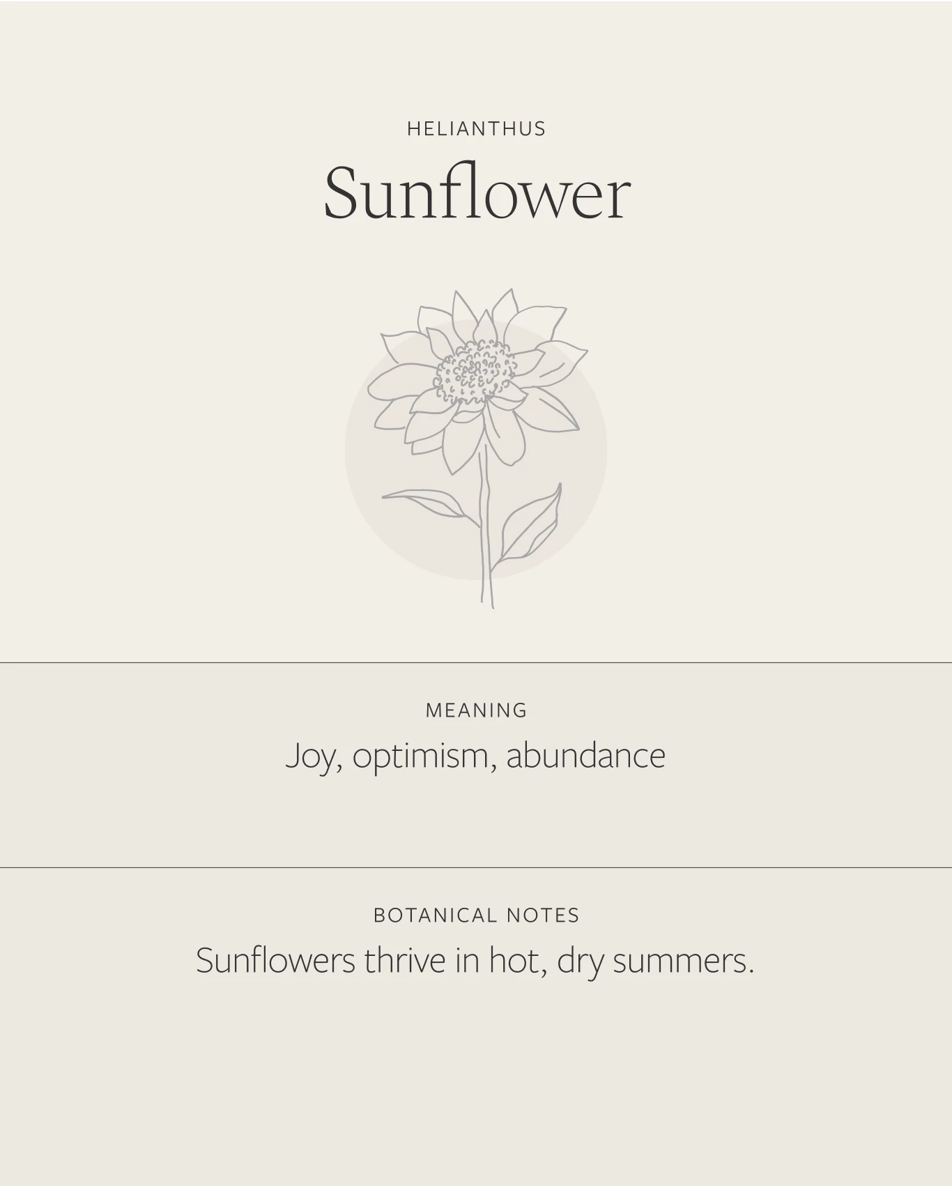 Sunflower Necklace 6 Sunflower Necklace - Image 4