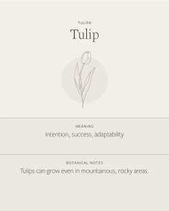 Tulip Necklace 9 Tulip Necklace -Gldn Shop Tulip 15660bc0 0230 4a8e a359 84545fdeaac0