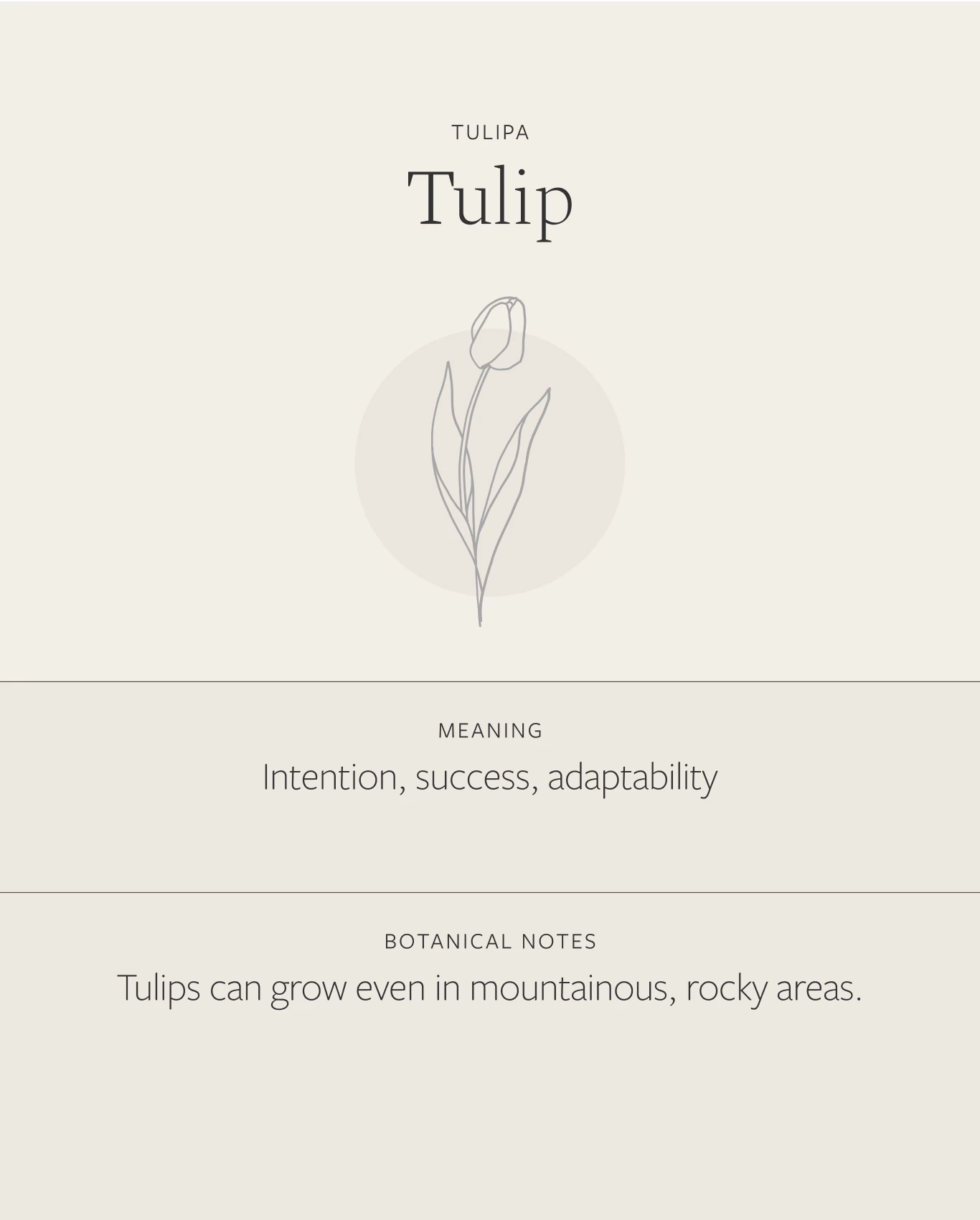 Tulip Necklace 5 Tulip Necklace - Image 3