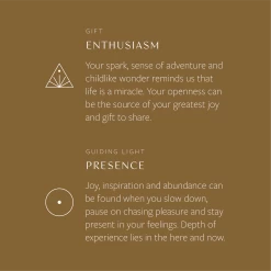 Enneagram Type Seven Necklace 22 Enneagram Type Seven Necklace -Gldn Shop Type7 Backcopy3 10x 7ddf17f1 759d 49f1 8801 9ef50fbc9872