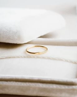 Micro Signet Ring -Gldn Shop gldn gold 8537