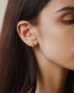 Poet's Garden Gradient Hoops 14 Poet's Garden Gradient Hoops -Gldn Shop poet garden model 7410