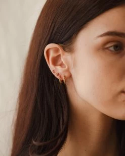 Poet's Garden Gradient Hoops 17 Poet's Garden Gradient Hoops -Gldn Shop poet garden model 7477 5c7b1dde 1612 4c33 ba1c 93af9fc03014