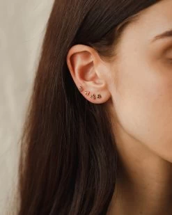 Winter Haiku Studs 19 Winter Haiku Studs -Gldn Shop poet garden model 7591 15147d7e 3879 46c5 a74b fda28cea8f92