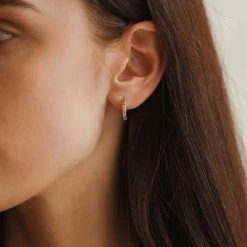 Poet's Garden Gradient Hoops 19 Poet's Garden Gradient Hoops -Gldn Shop poet garden model 7654