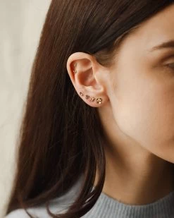 Poet's Palette Stud Set -Gldn Shop poet garden model 7718