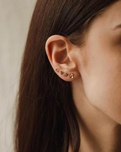 Poet's Palette Stud Set -Gldn Shop poet garden model 7722 6478f858 3231 44aa 9cae 7c0080d50535