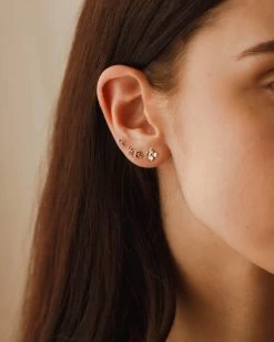 Poet's Palette Stud Set -Gldn Shop poet garden model 7994 cbfa24ef fc09 449c 83f9 5beb0e82f24f