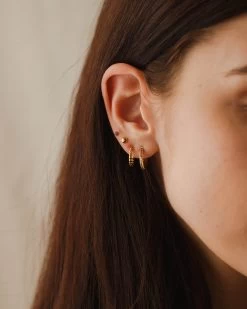 Poet's Garden Gradient Hoops 21 Poet's Garden Gradient Hoops -Gldn Shop poet garden model 8004