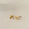 Midnight Blossom Studs 1 Midnight Blossom Studs -Gldn Shop poets garden product 8210 6a089bba aa90 4af8 b962 326b56c5778c